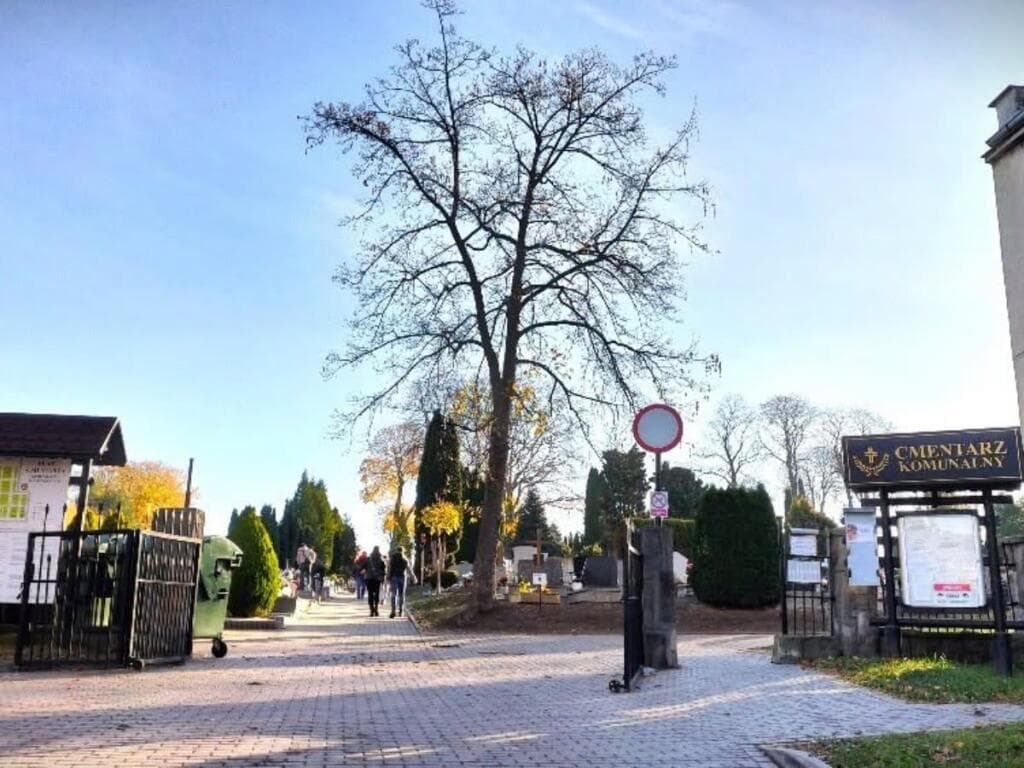 Zmiana organizacji ruchu przy cmentarzu w Głuchołazach w dniach 31 października – 2 listopada 2026 r.
