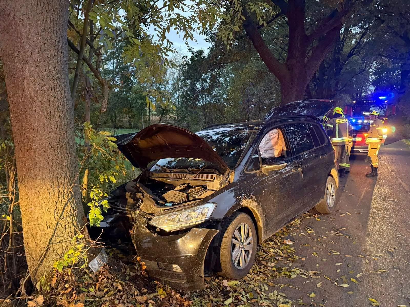 Wypadek na trasie Regulice–Bykowice. 29-latek uderzył w drzewo