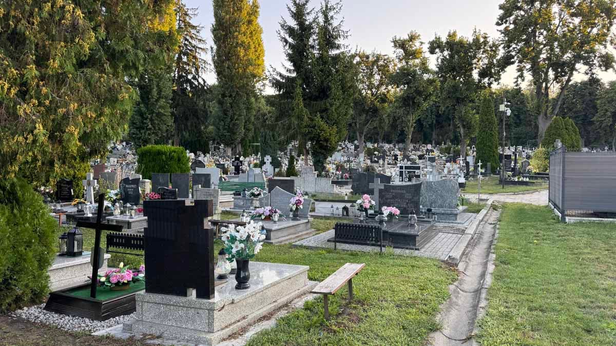 Uczniowie SP nr 5 w Nysie posprzątali Cmentarz Komunalny przed Wszystkimi Świętymi
